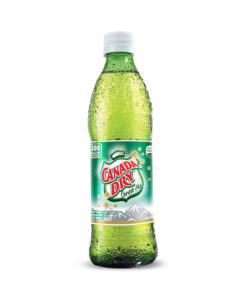 GASE. CANADA DRY BOT X 300 ML
