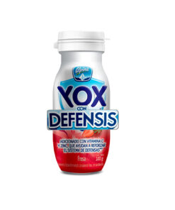 YOGURT ALPINA YOX SURT. X 100 GR