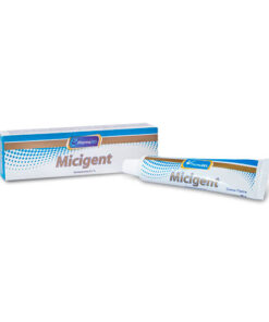 MICIGENT 0.1% TOPICA TUBO X 40 GR