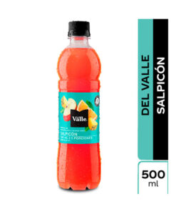 JUGO VALLE SALPICON FCO X 500 ML