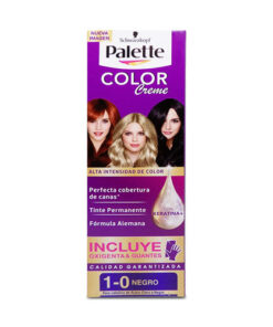 TINTE PALETTE COLOR 1-0 NEGRO +OXIGENTA