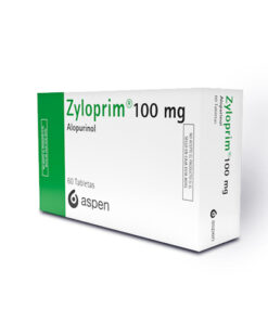 ZYLOPRIM 100 MG (ALOPURINOL) CAJA X 60 TABS