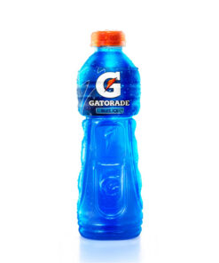 TE MR TE LIMON BOT X 500 ML